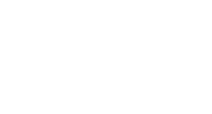 LOGO-INSOFT